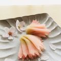 ごごchan☆'s cooksnap of when they made 桜の和菓子 ういろう製 八重桜.