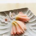 ごごchan☆'s cooksnap of when they made 桜の和菓子 ういろう製 八重桜.