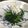 どるーわ's cooksnap of when they made ほうれん草としらすのお浸し.