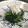 どるーわ's cooksnap of when they made ほうれん草としらすのお浸し.