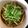 料理大好きママさん☆'s cooksnap of when they made 10分で出来る簡単カレーうどん.