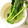 そらてんママ's cooksnap of when they made ほうれん草泥落とし.