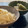 momoetsu's cooksnap of when they made 高野豆腐とフキの煮物・簡単.