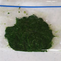 せねふみ's cooksnap of when they made ヨモギのアク抜き.