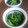 チコリママ's cooksnap of when they made *みつばの胡麻和え*.