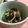 クックFUKKY☆'s cooksnap of when they made 海苔が美味しい♡海苔ゴマ和え.