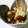 bliss620ti's cooksnap of when they made 里芋の梅和え.