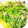ジャックック24's cooksnap of when they made 豆苗とツナの和え物.