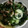nanahouse1's cooksnap of when they made きゅうりとわかめのツナ和え.