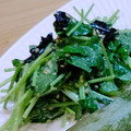agak's cooksnap of when they made 三つ葉とのりのゴママヨサラダ.