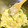 クックQDSI3N☆'s cooksnap of when they made 海老とイカとはんぺんと枝豆の落とし揚げ.