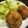 ttommommi's cooksnap of when they made お肉屋さんのじゃないウチの牛肉コロッケ♪.
