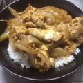 オールボン's cooksnap of when they made 5分でできる！他人丼.