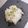 あたりめっこ's cooksnap of when they made 新玉ねぎ の簡単サラダ.