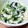 あーｍｂ's cooksnap of when they made レンジで簡単＊ほうれん草の白和え.