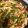 はにぉ's cooksnap of when they made ウインナーの青椒肉絲風.
