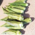 ame-ikuru's cooksnap of when they made オクラの下ごしらえ.