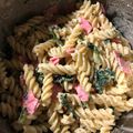 四児のハハ's cooksnap of when they made Whole Foods風　ペンネサラダ.