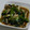 ヨシヨッシー's cooksnap of when they made ほうれん草としめじのオイスター炒め.