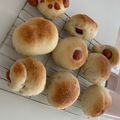 ともぱんたから's cooksnap of when they made 子供と作る★パン（動物あんパン＆たまご）.