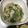 hareonna35's cooksnap of when they made 簡単！蒸し蒸し豚もやし♡.