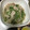 hareonna35's cooksnap of when they made 簡単！蒸し蒸し豚もやし♡.