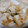 4double5's cooksnap of when they made 外はサクサク・中はもちもち『揚げ餅』.