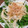 KUUUUUUMIN's cooksnap of when they made 新玉ねぎと水菜のサラダ.