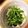 あんちょびぃす's cooksnap of when they made ぱぱっと豆苗塩昆布やみつきサラダ.