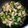 kokoパパ's cooksnap of when they made 鶏むね肉とチンゲン菜のオイスター炒め.
