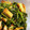 クックFC2B0Z☆'s cooksnap of when they made サクサク油揚げと三つ葉と人参のお浸し.