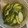 はらりんぐ's cooksnap of when they made きゅうりの白だし漬け☆箸休め.