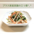MadameーTco's cooksnap of when they made ＊簡単！ごぼうサラダ＊.