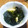 るいちゃそ's cooksnap of when they made 優しい味が染みる！筍とワカメの煮物.