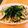 ☆かほｍａｍａ☆'s cooksnap of when they made 簡単♪ツナとナスの和風パスタランチ☆.