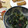 Remtan's cooksnap of when they made きゅうりとワカメの酢の物.