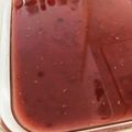 ちいちぃママ's cooksnap of when they made 超簡単ぷるんと水ようかん！.