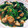 SOUP0402's cooksnap of when they made ☆10分で！鶏団子と小松菜のしょうゆ餡☆.
