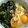 kumaco0517's cooksnap of when they made 飲みほしたい！うどんのつゆ.