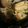 mxtny's cooksnap of when they made 鍋焼きうどん.