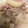 クックHPXE83☆'s cooksnap of when they made レンジで簡単！大根とひき肉の煮物.