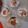eiyoushi's cooksnap of when they made ごま好きにはたまらん♥♥ヨーグルト.