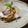 今日もお昼寝。。's cooksnap of when they made 鯛のあら煮.