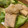 お天気マーク's cooksnap of when they made メカジキの大根おろし煮.