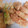 ユミママキッチン's cooksnap of when they made サクッとふわふわさつま芋の天ぷら.
