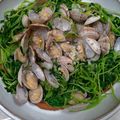 matsutama's cooksnap of when they made 豆苗とあさりのにんにく酒蒸し.