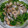 matsutama's cooksnap of when they made 豆苗とあさりのにんにく酒蒸し.