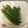 ☆こうめまま's cooksnap of when they made 簡単♪さっぱり☆オクラの白だし漬け☆.