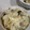 食べることが好き's cooksnap of when they made きのこと牛乳の炊き込みご飯☆ミルクピラフ.