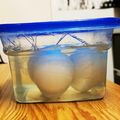 らびのゆうママ's cooksnap of when they made 絶品♪半熟塩たまご.